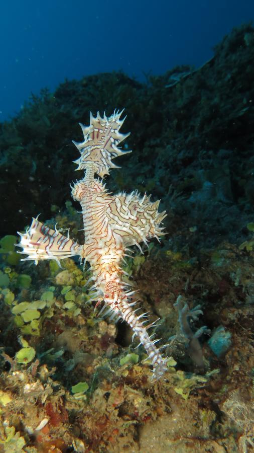 Sakatia Lodge Ampasimena Εξωτερικό φωτογραφία