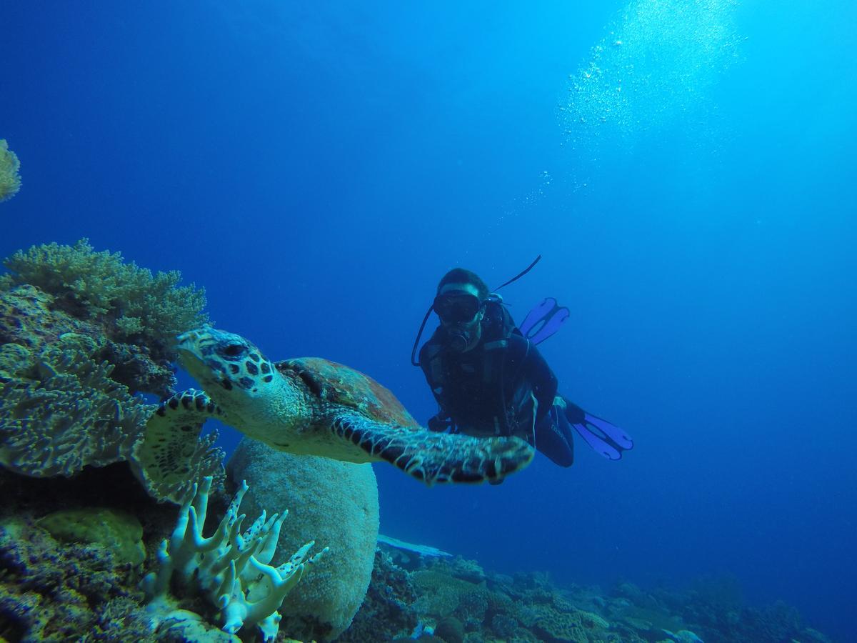 Sakatia Lodge Ampasimena Εξωτερικό φωτογραφία